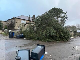 Nightingale Centre Front with fallen tree